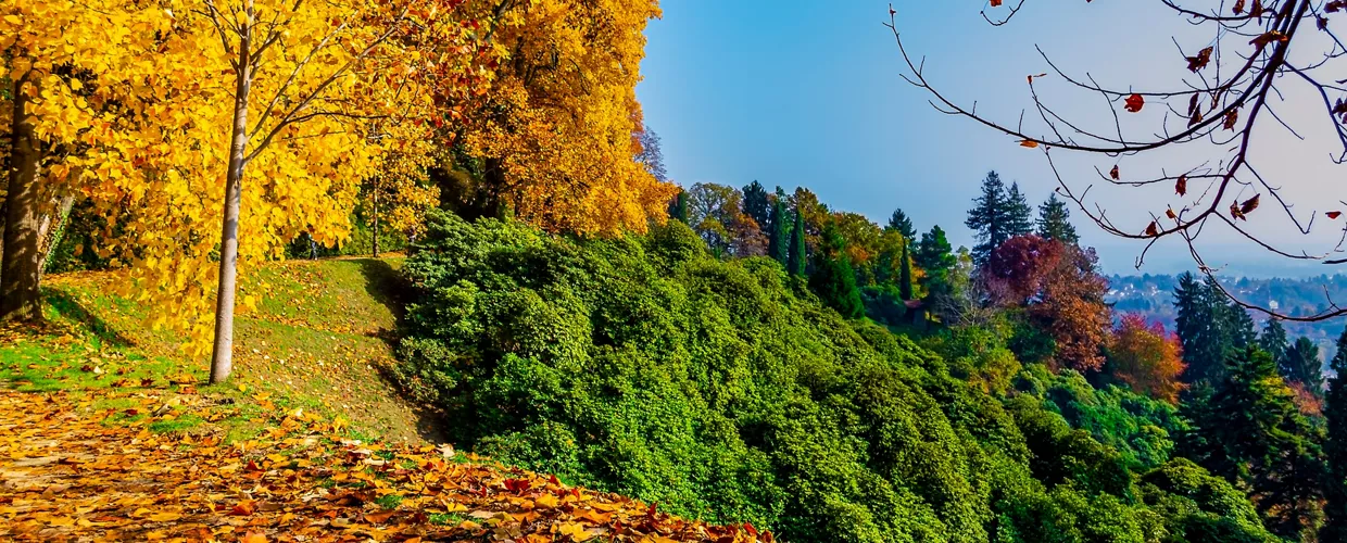 Riserva naturale del Parco Burcina Felice Piacenza