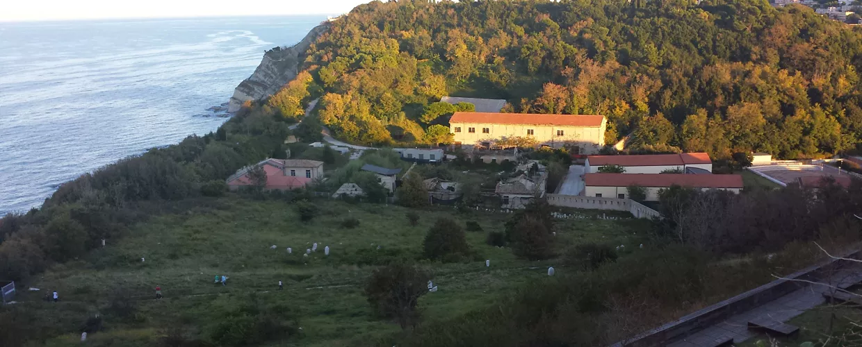 Parc du Cardeto