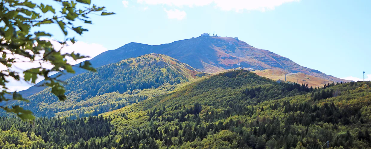 Parc du Frignano - Sant'Annapelago