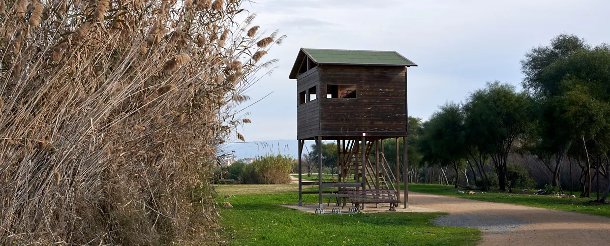 Parque Molentargius