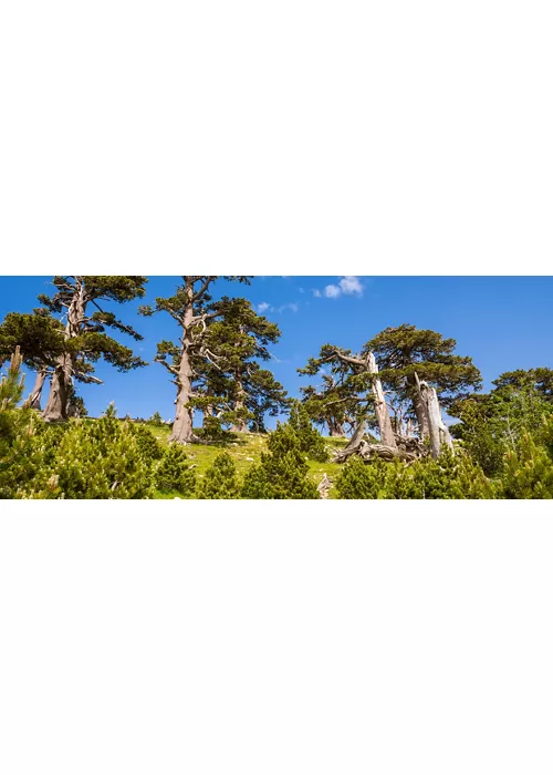 Nationalpark Pollino