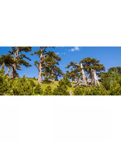 Parco Nazionale del Pollino