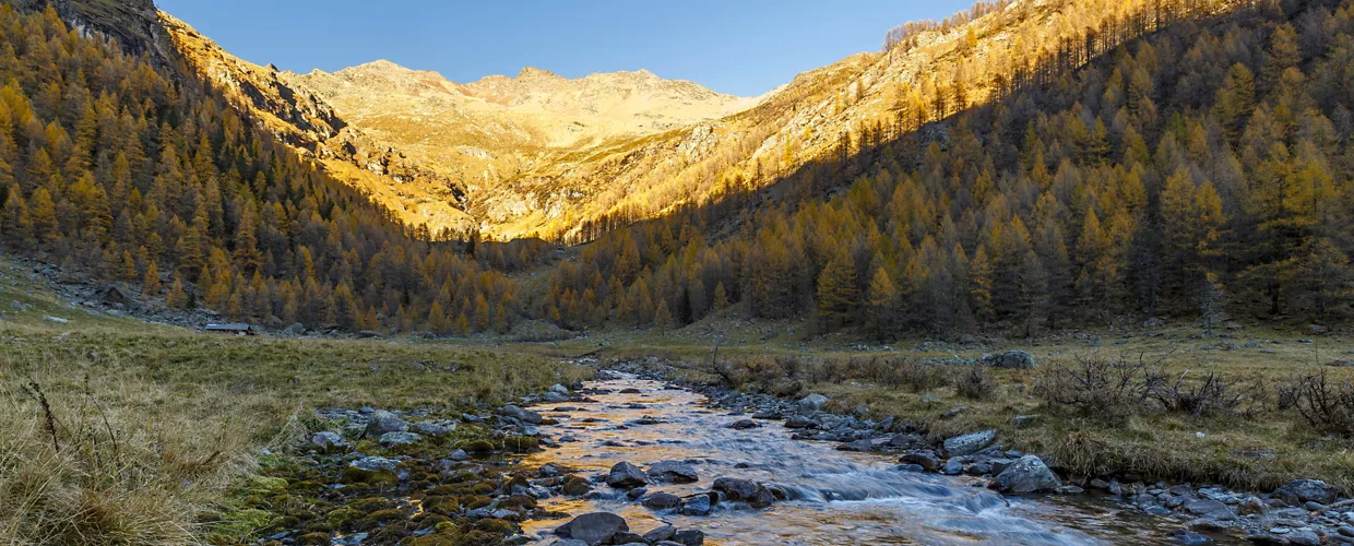 Stelvio National Park