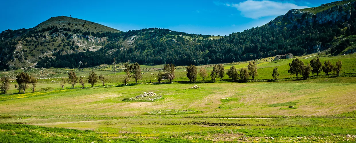 Piana di Palermo