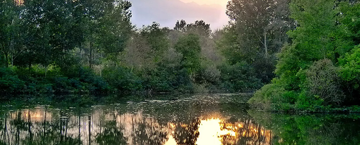 Carmagnola