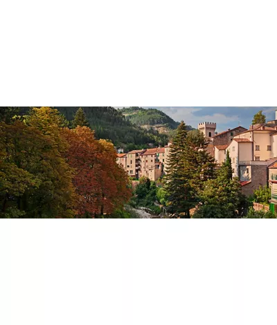 Premilcuore