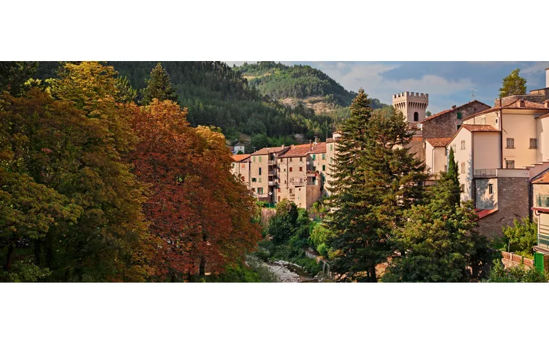 Premilcuore