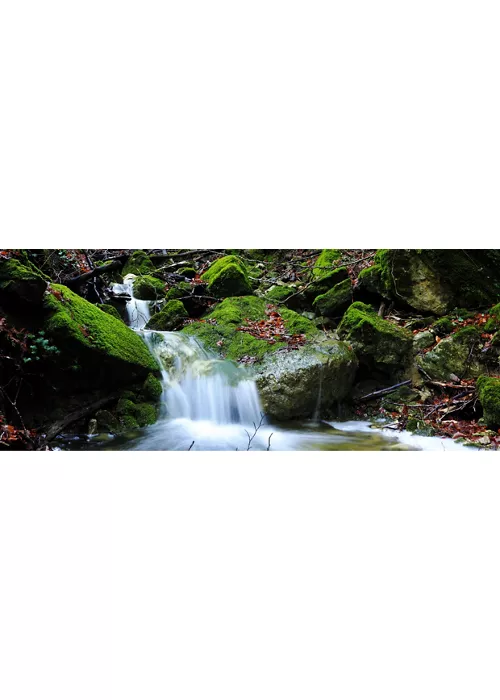 Réserve naturelle de Collemeluccio-Montedimezzo