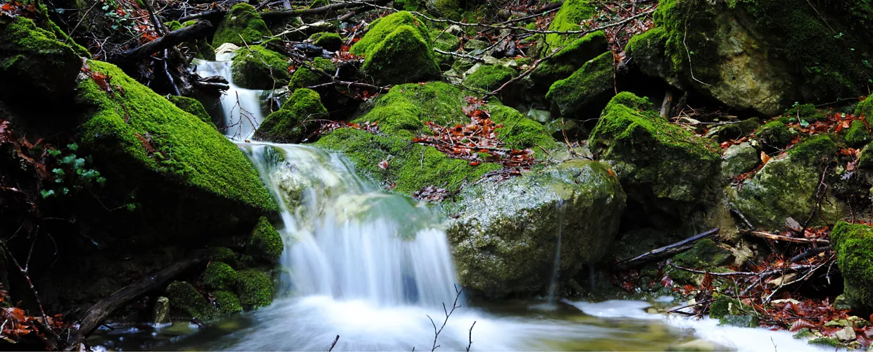 Reserva natural de Collemeluccio-Montedimezzo