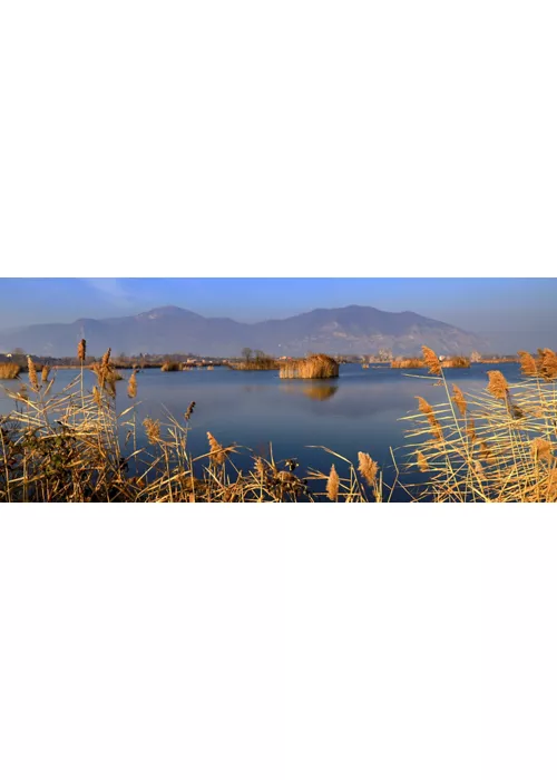 Naturschutzgebiet Torbiere del Sebino