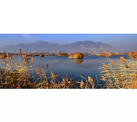 Riserva Naturale delle Torbiere del Sebino