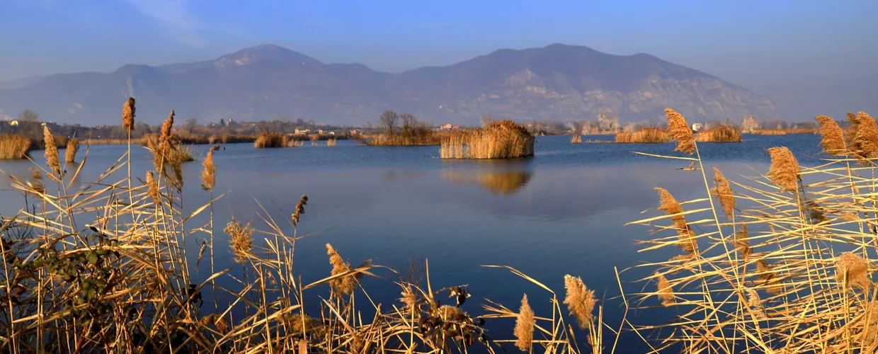 Riserva Naturale delle Torbiere del Sebino