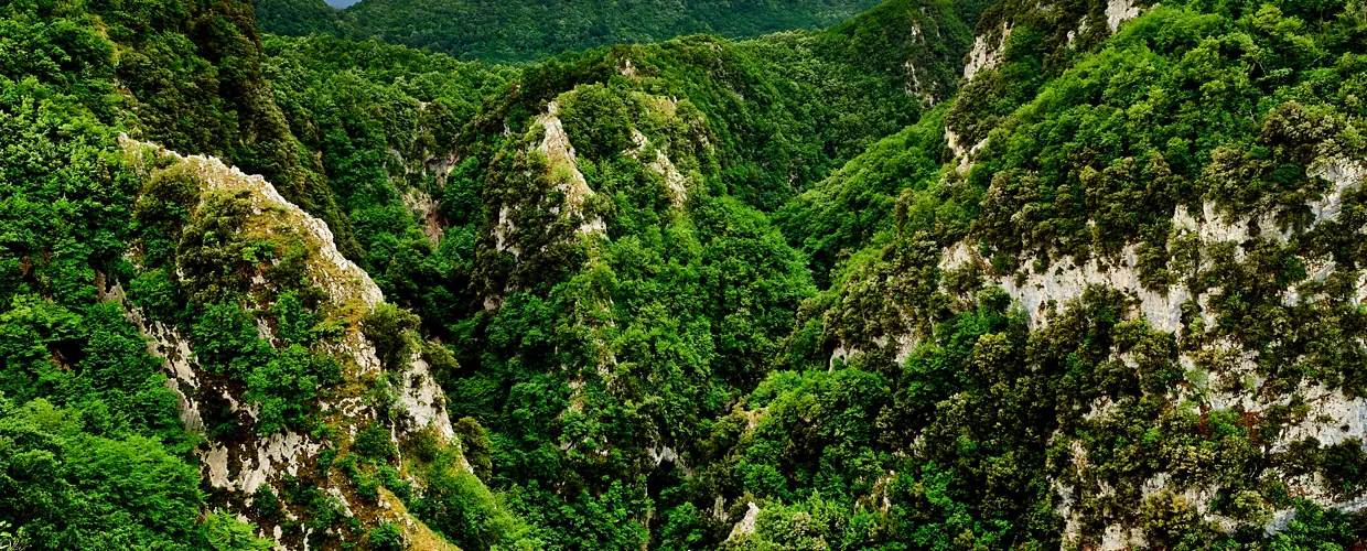 Riserva naturale Oasi WWF di Guardiaregia-Campochiaro