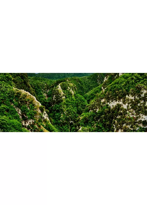 Riserva naturale Oasi WWF di Guardiaregia-Campochiaro