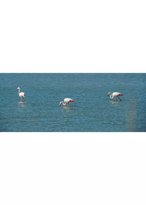 Réserve naturelle orientée Oasis Faunistique de Vendicari