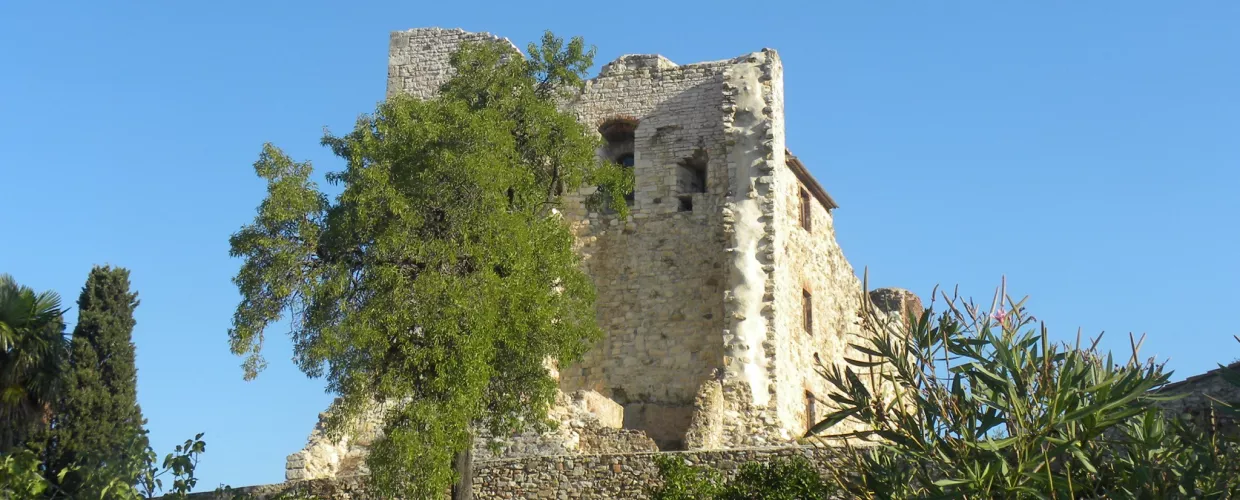 Aldobrandesca Fortress