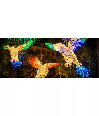 Salerno's Luci d'Artista is the brightest event of the year