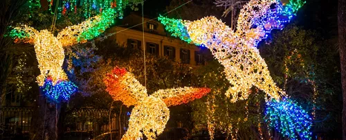 Salerno's Luci d'Artista is the brightest event of the year