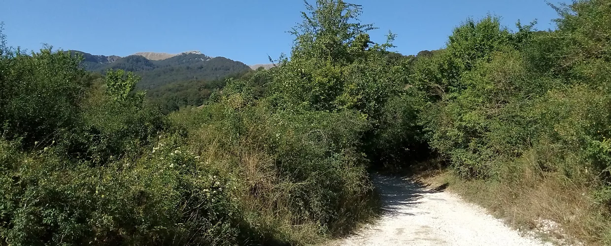 Santuario de Monte Tranquillo