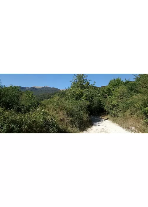Santuario de Monte Tranquillo