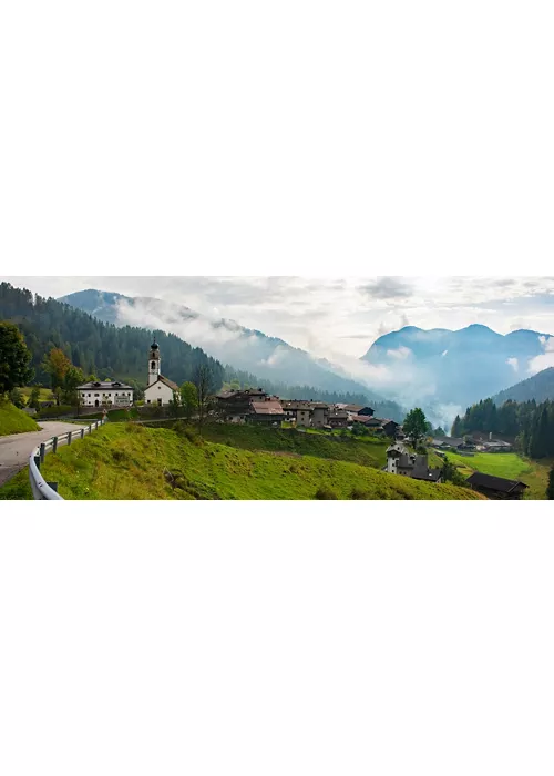 sauris