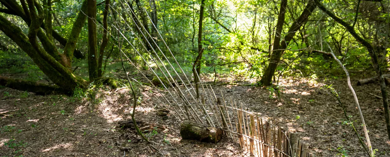 Sito UNESCO Palafitticolo di Palù di Livenza