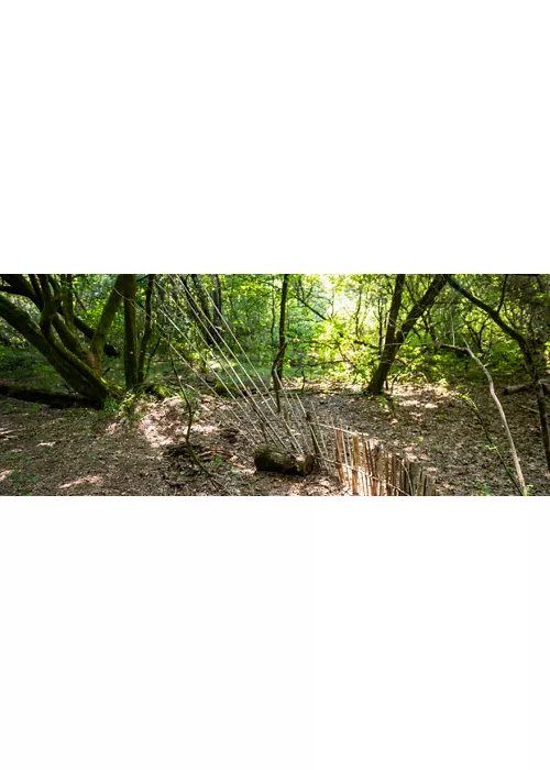 Site palafittique de Palù di Livenza classé par l'Unesco