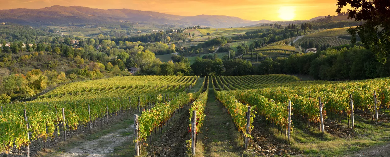 Strada del Vino Chianti Classico