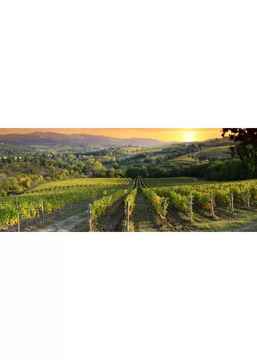 Strada del Vino Chianti Classico