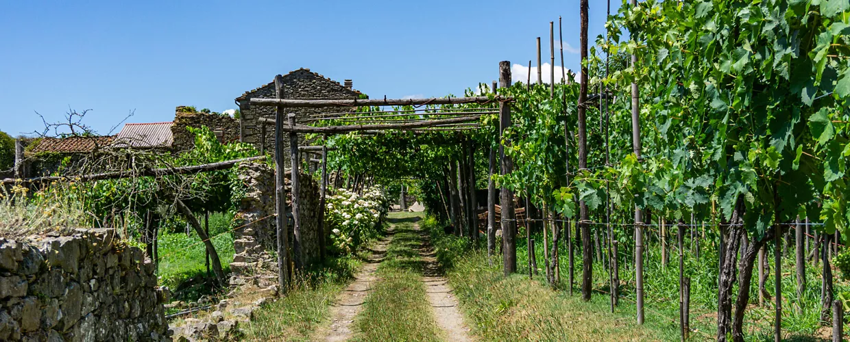 Lunigiana Preziosa