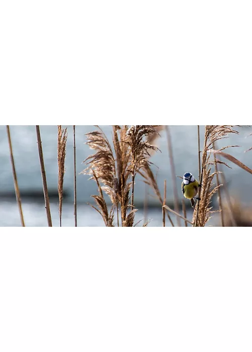 Riserva Naturale Regionale Nazzano Tevere-Farfa