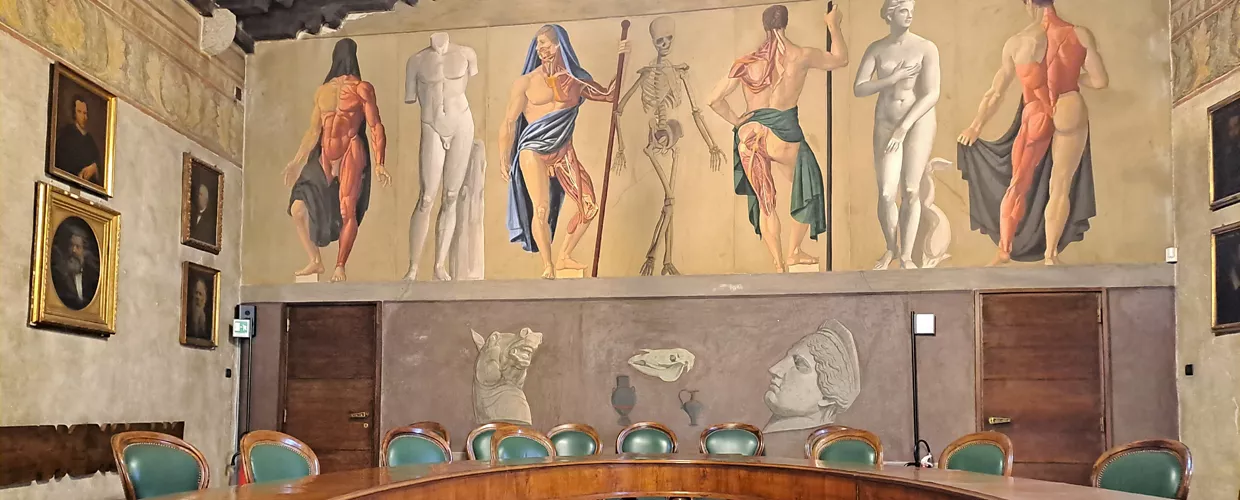 Università di Padova