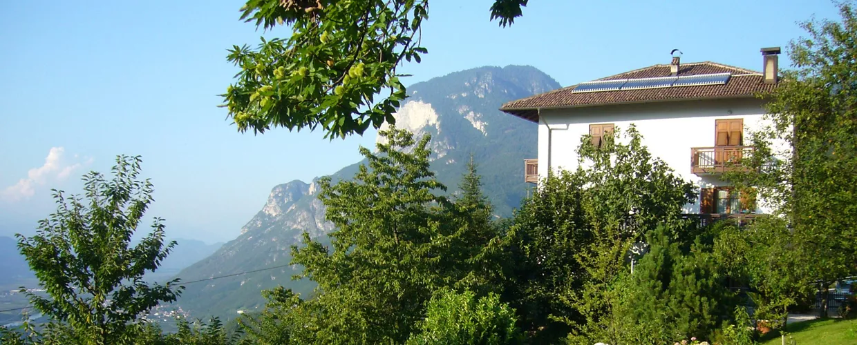 Azienda Agricola Biologica di Zeno Alfeo
