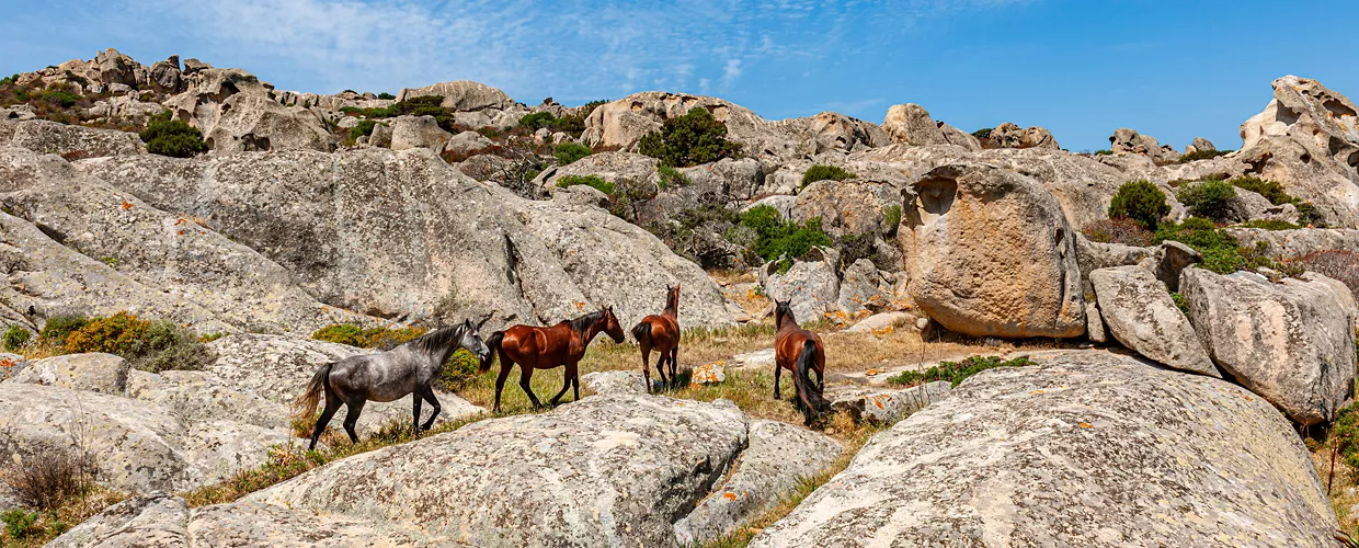 Parco Nazionale dell'Asinara