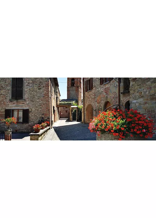Citerna