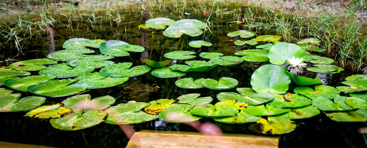 La Bora nature area