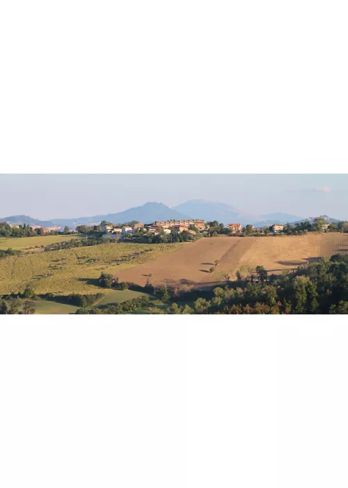 montappone