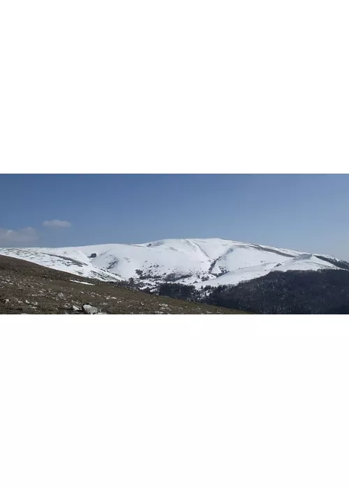 Parco del Monte Subasio - Musée paléontologique