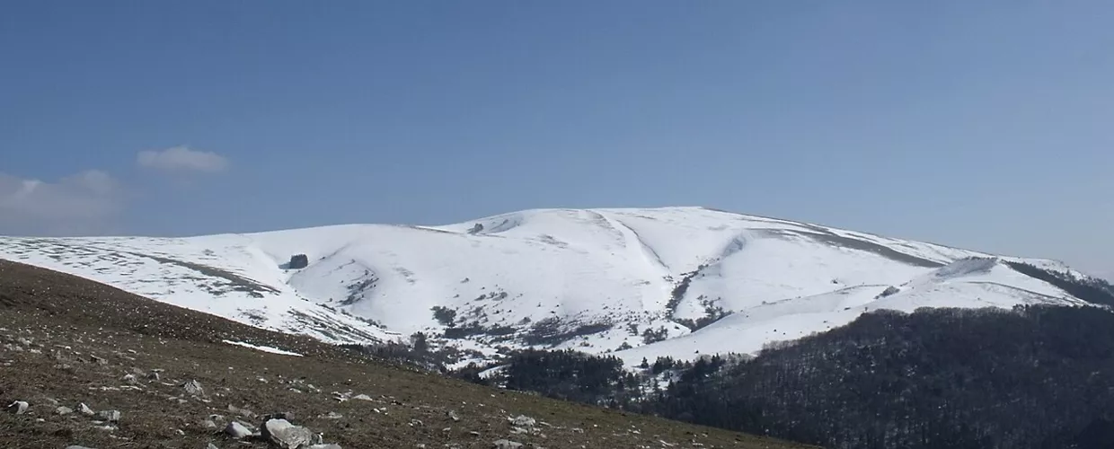 Parco del Monte Subasio - Museo Paleontologico