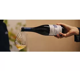 paestum wine festival