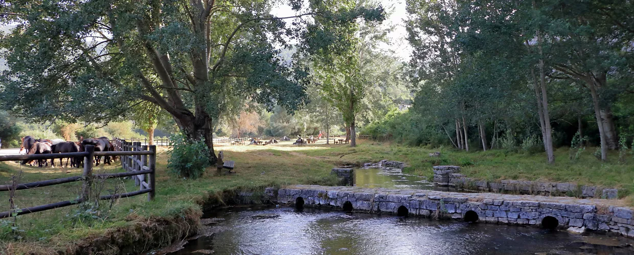Pantano della Zittola (Feudo Valcocchiara)