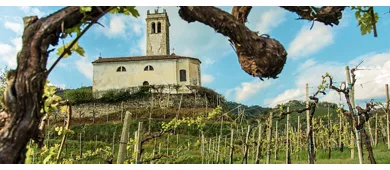 primavera del prosecco 2024