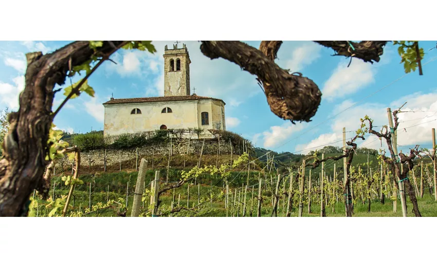 primavera del prosecco 2024