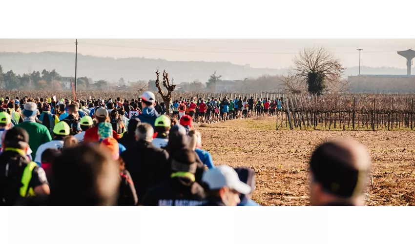 Conegliano Valdobbiadene Prosecco running festival