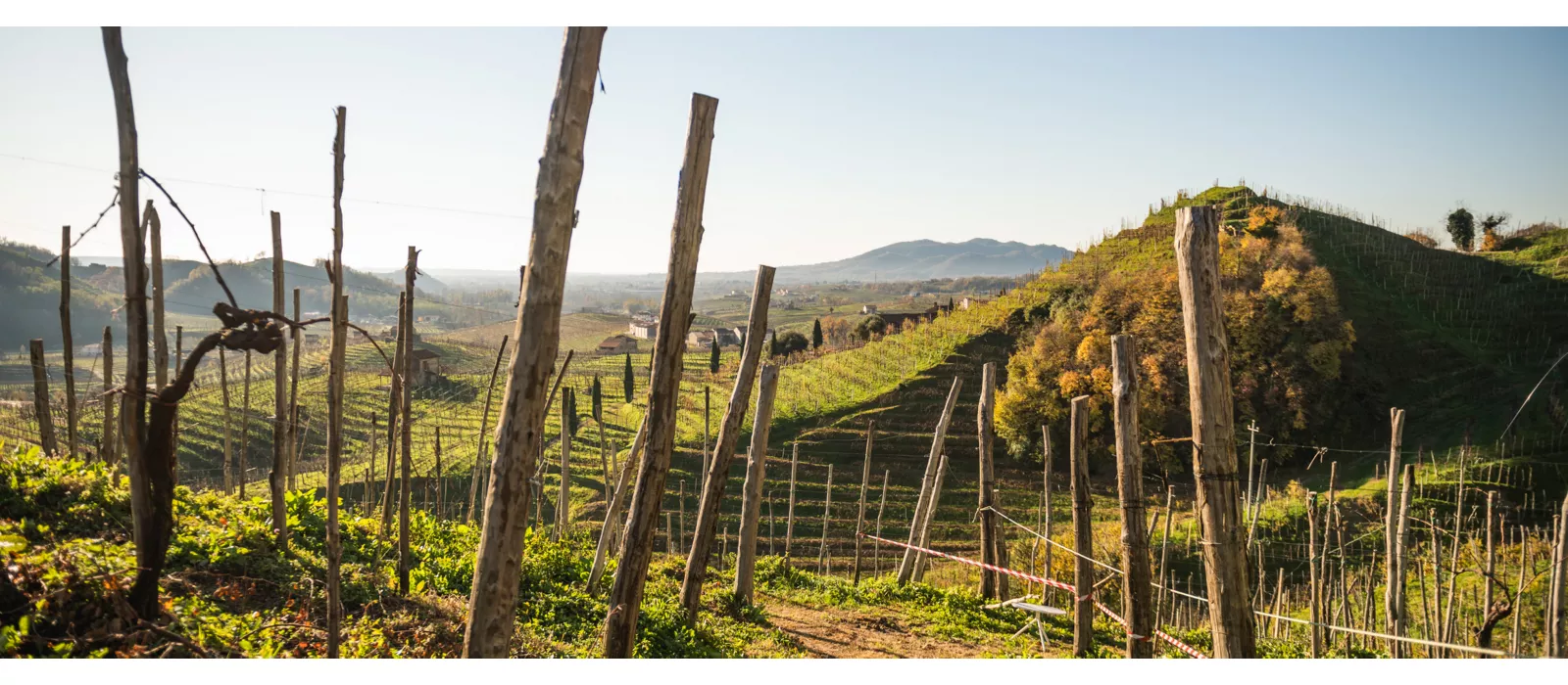 Conegliano Valdobbiadene Prosecco running festival