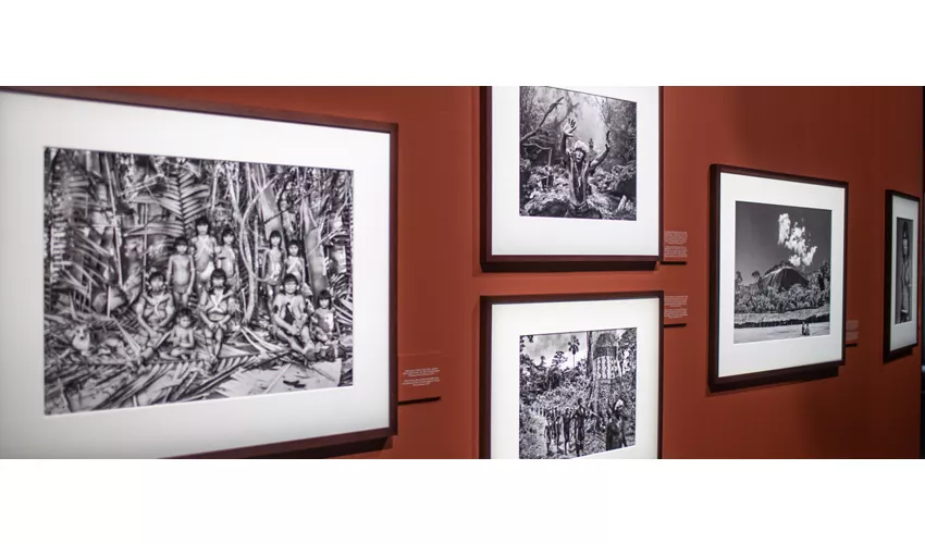 sebastiao salgado amazonia