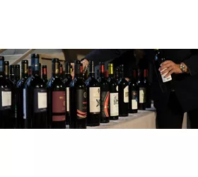 terre di pisa food & wine festival 2023