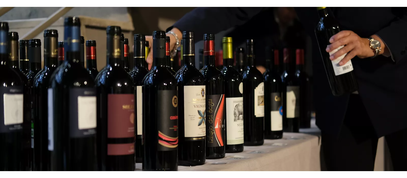 terre di pisa food & wine festival 2023