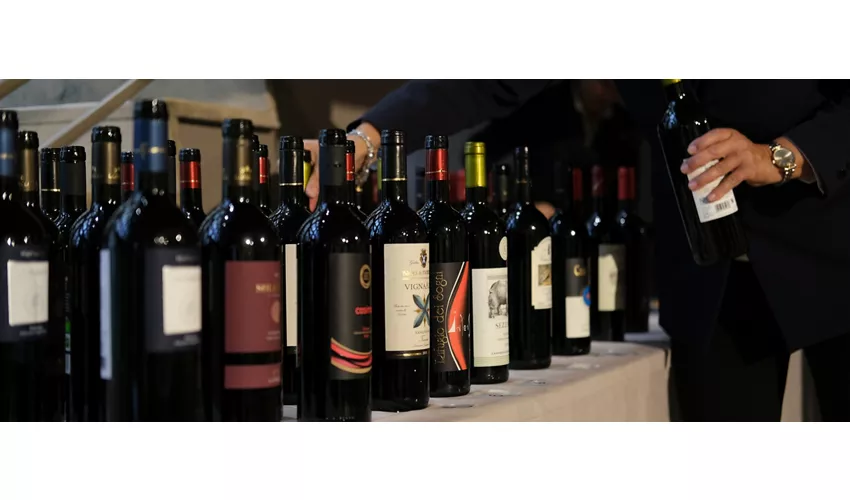 terre di pisa food & wine festival 2023