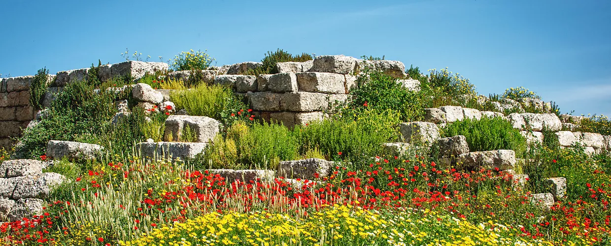 Hotel Torre Egnazia